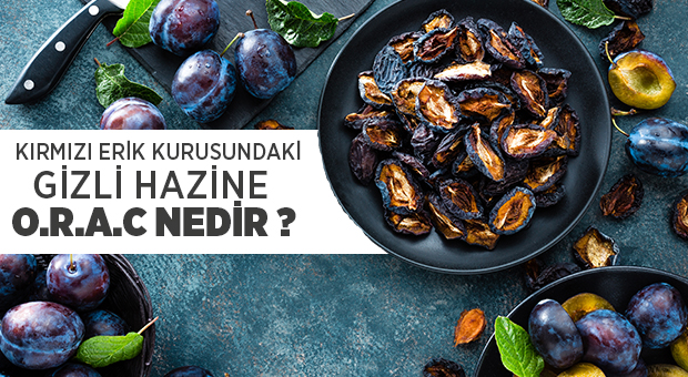 KIRMIZI ERİK KURUSUNDAKİ GİZLİ HAZİNE O.R.A.C NEDİR ?